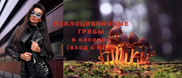 ешки Майский
