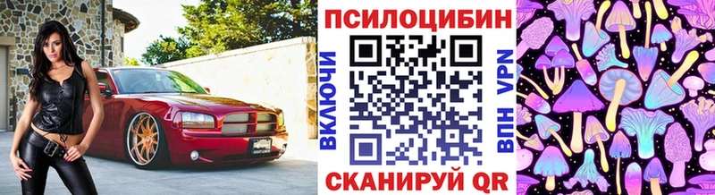 Купить  Кольчугино  Псилоцибиновые грибы GOLDEN TEACHER 